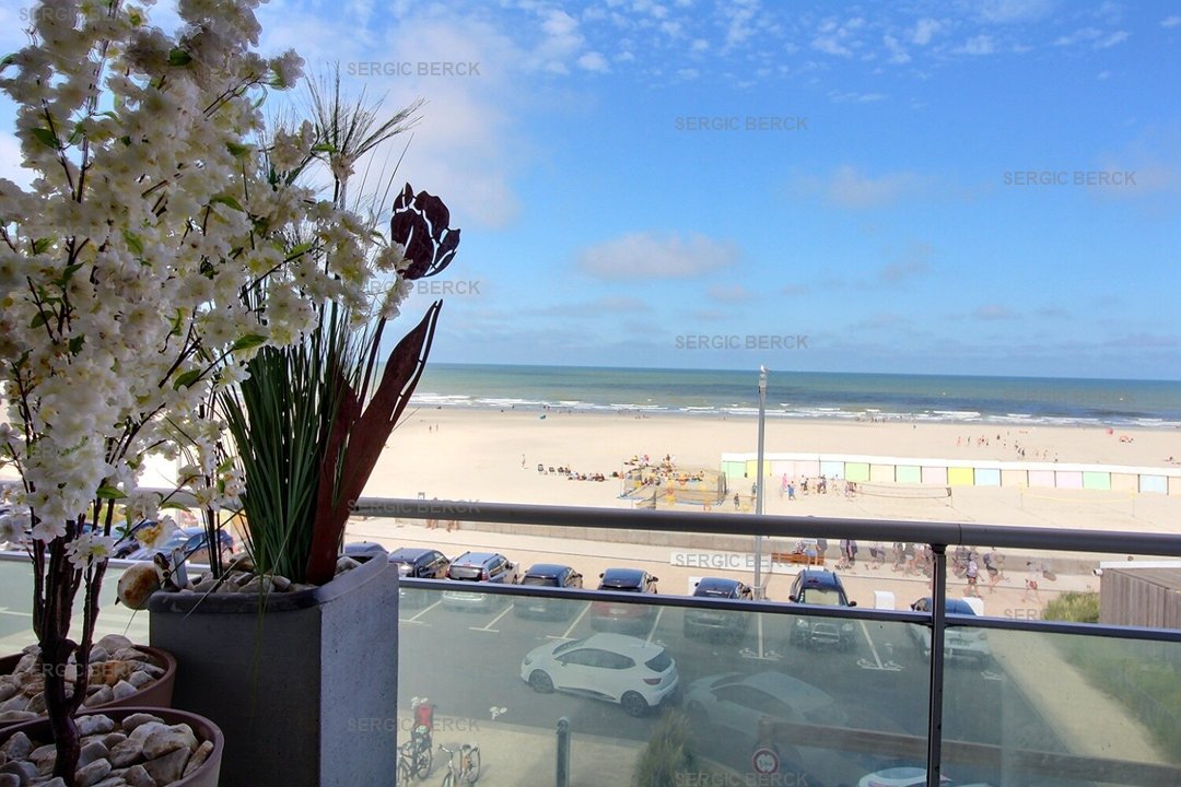 /picture/helios/116260001/APOLLO 211/3_2026-01-18CET00h00-15.jpg